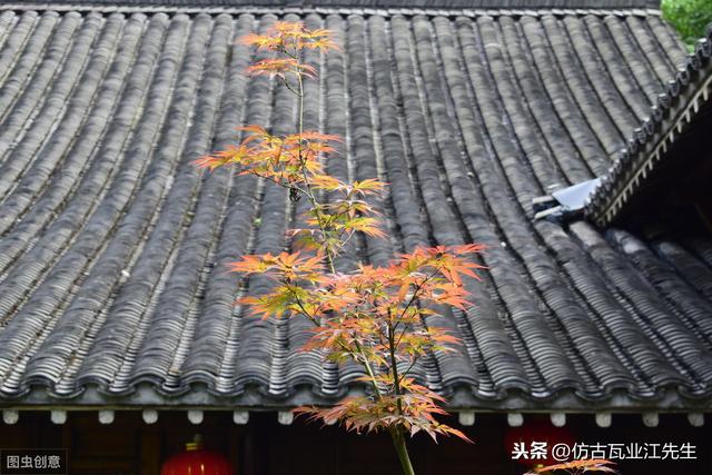 導讀：農村蓋房用樹脂瓦適合嗎？聽完行家的分析，恍然大悟