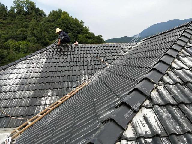 30元一平的樹脂瓦省錢又耐用？網友：吃飽沒事干，用一年就得換