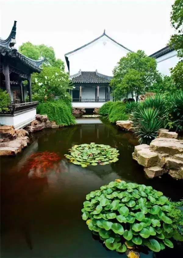 小院回廊，一步一景！